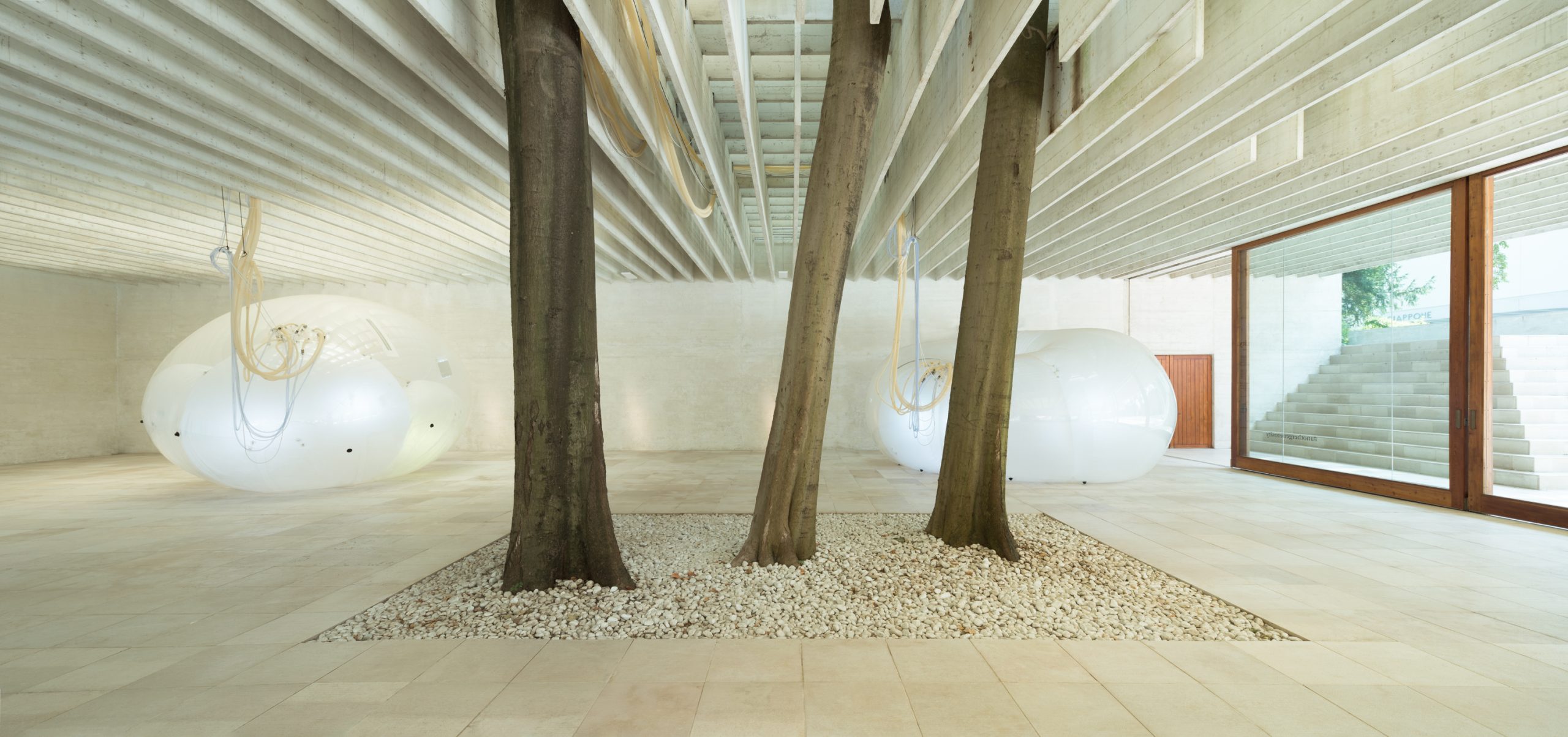 Nordischer-Pavillon-Architekturbiennale-2018-1